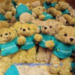 Cửa hàng gấu bông – 10.000 gấu bông quà tặng doanh nghiệp Vietnam Airlines