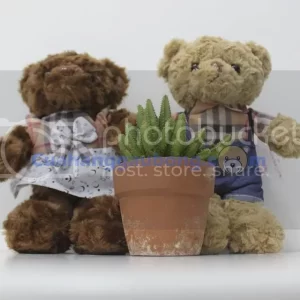 Gấu bông teddy baby bear 