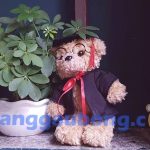 Gấu bông tốt nghiệp Dr Grad 