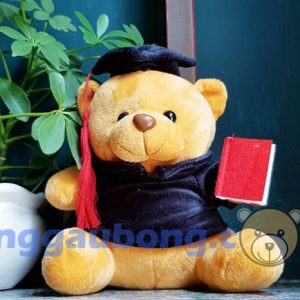 Gấu bông tốt nghiệp Trạng Nguyên